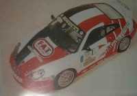 Porsche 911 GT3 Cup France Cherau  DMC Decal 1:24