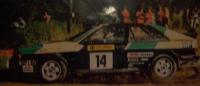 Audi Quattro Rally Finnland Michelle Mouton  DMC Decal 1:24